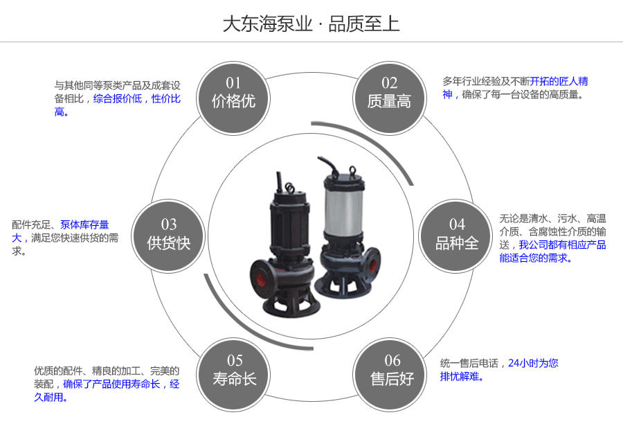 大東海泵業WQ排污泵質量保證圖